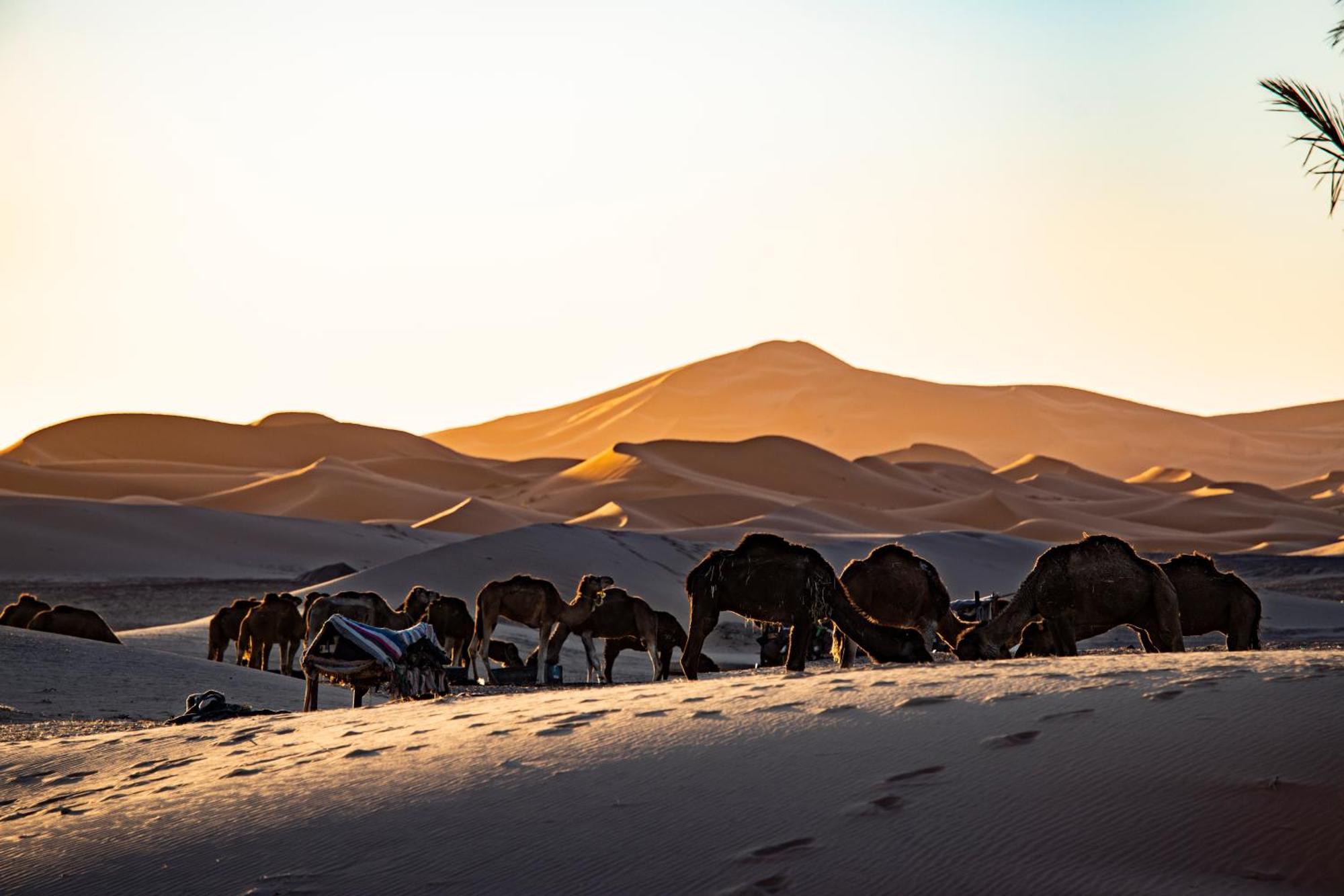 Kanz Erremal Merzouga Buitenkant foto