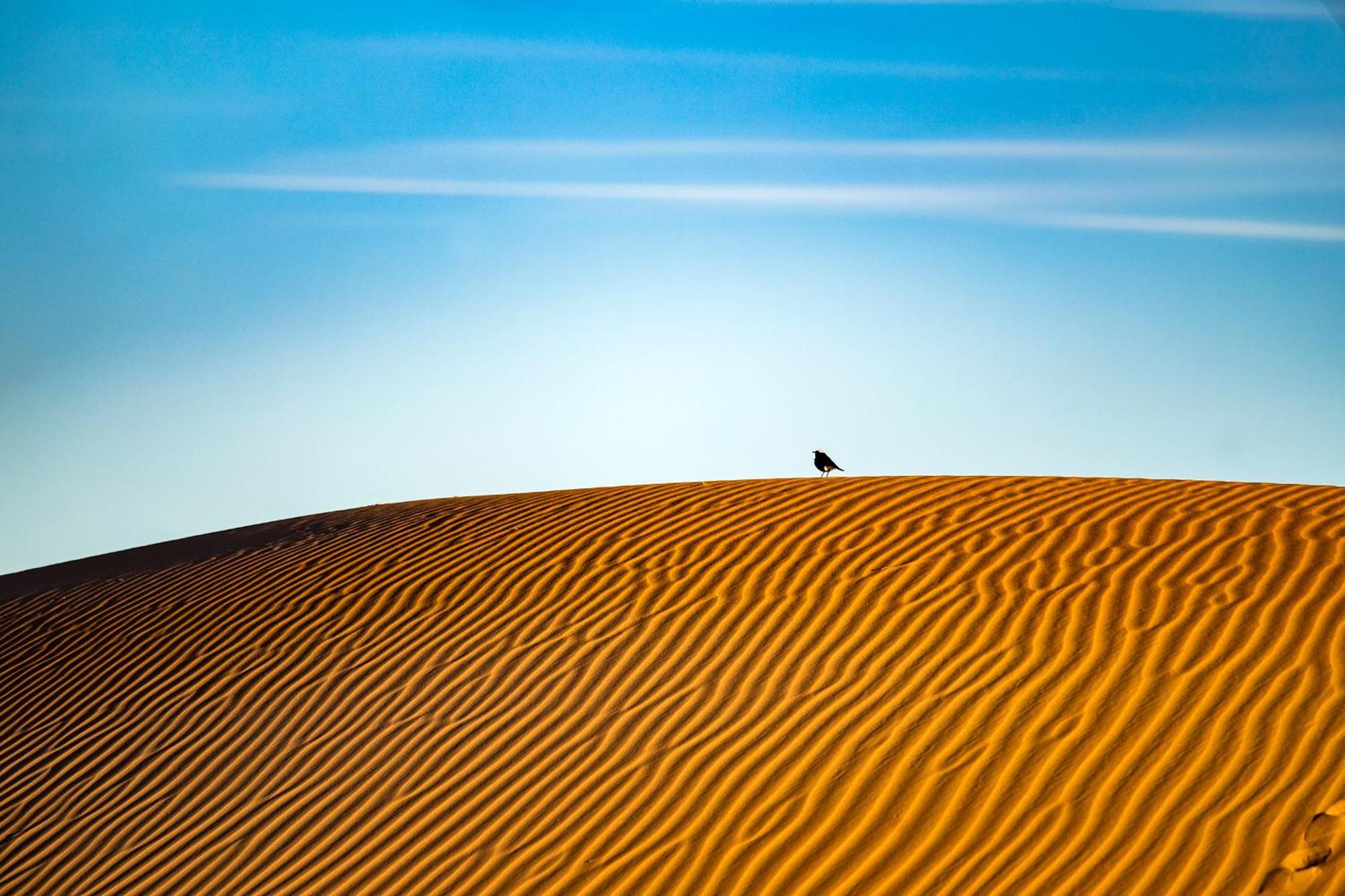 Kanz Erremal Merzouga Buitenkant foto